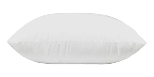 Hypoallergenic 23x23 Inch Pillow Insert for Sofa Shams and Decorative Pillows