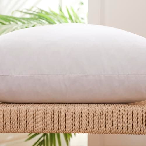 Gold Goose 24x24 WhiteDown and Feather Pillow Inserts,2 Packs,Soft Cover